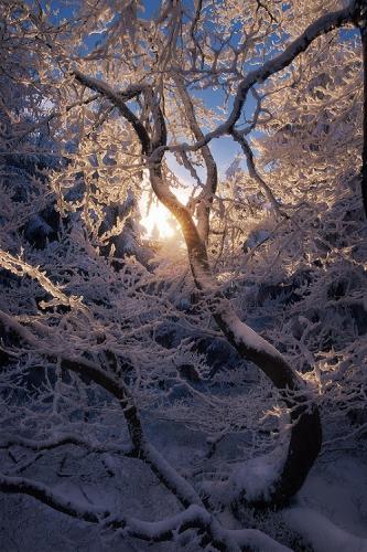 tumblr_n8io6gP2rp1rnheglo1_r1_500