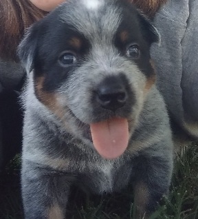 21:23:55 GMT+1100 (AEDT)