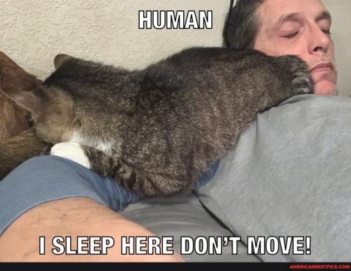 23:29:04 GMT-0600 (CST).image