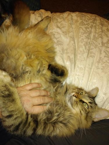 01:45:09 GMT-0600 (CST)