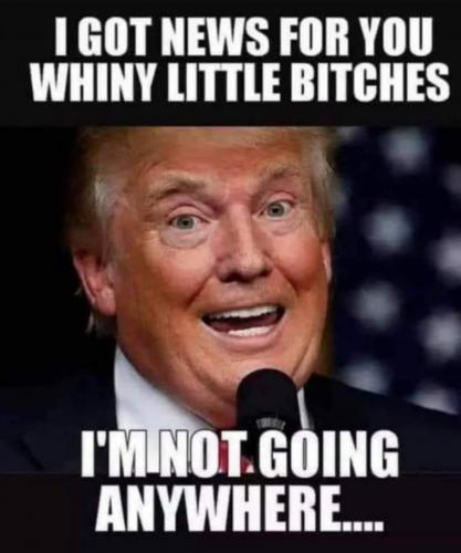 11:50:37 GMT-0800 (PST)