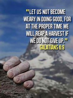 Scripture 361
