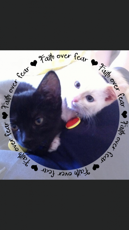 13:15:11 GMT-0700 (MST).image