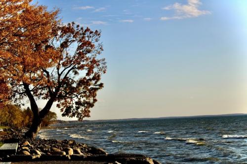 17:47:59 GMT-0500 (EST).image