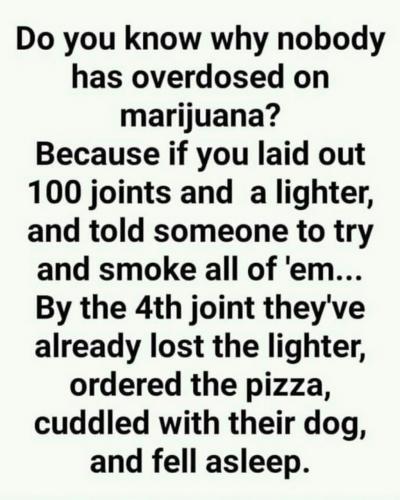 Screenshot_2019-05-19-17-51-20-1