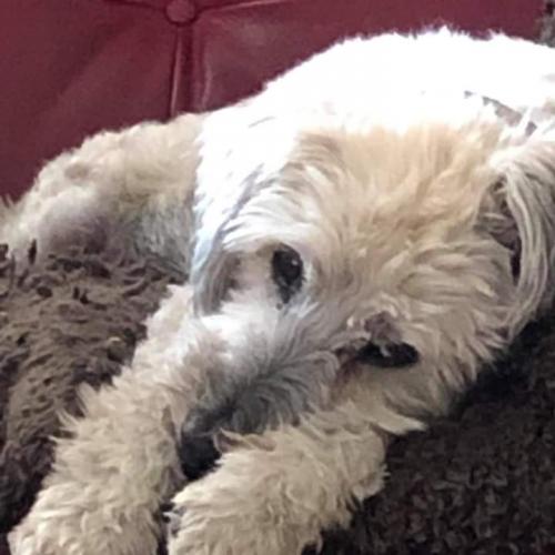 12:01:45 GMT+0000 (GMT)