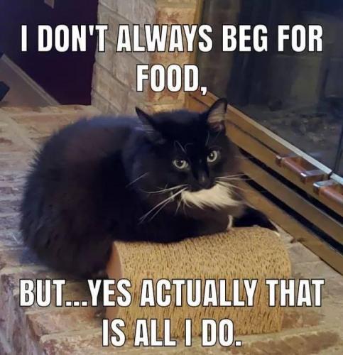 16:10:20 GMT-0500 (EST)