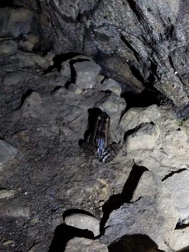 09:51:03 GMT-0600 (CST)