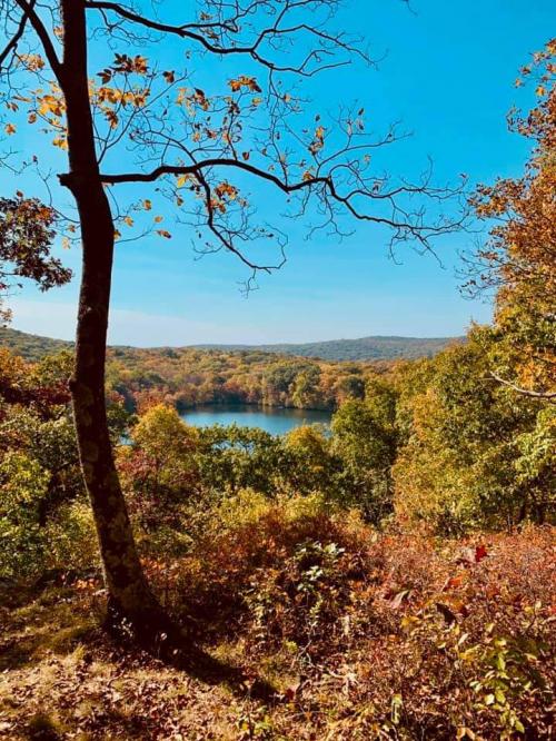 08:57:49 GMT-0500 (EST).image