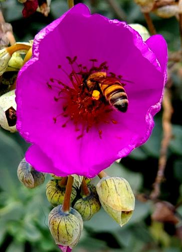 15:54:41 GMT-0800 (PST)