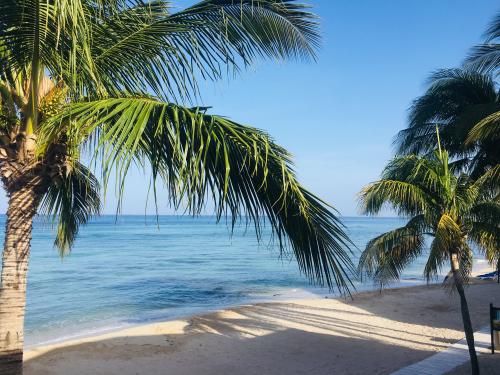 23:05:18 GMT-0600 (CST).image