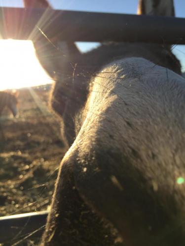 17:24:15 GMT-0800 (PST).image