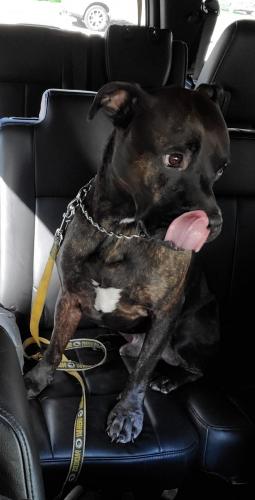 23:34:04 GMT-0600 (CST)