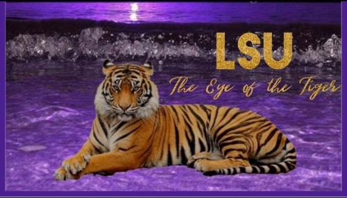 08:05:11 GMT-0600 (CST)