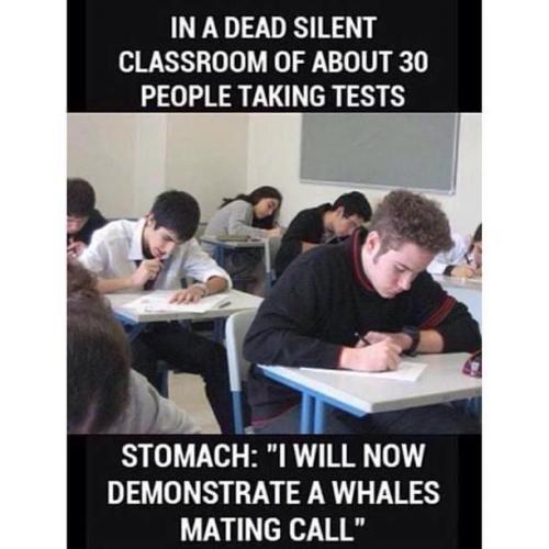 4CA6ADFB-618C-4772-8F29-4E6B7694210A