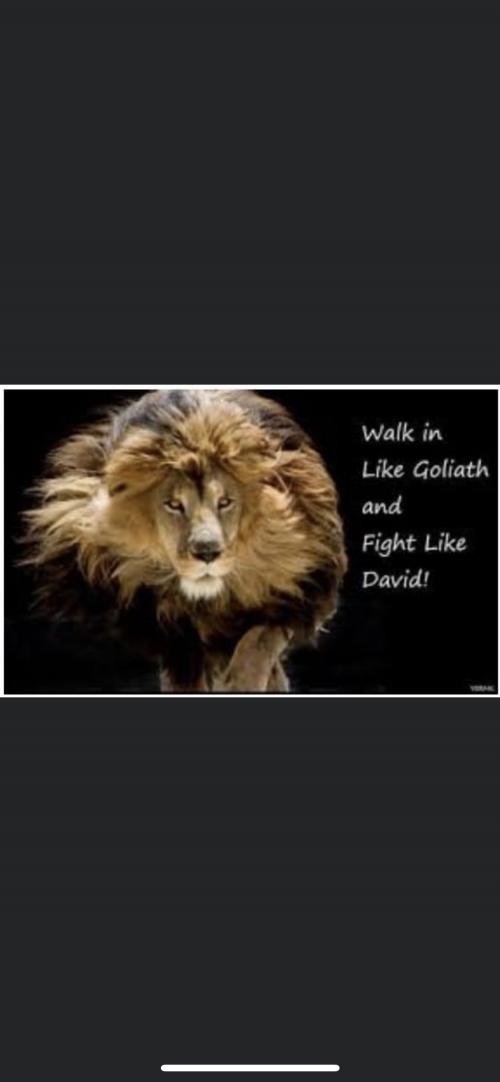 8A5AF195-12A1-4B6B-9469-662CF6A27DEE