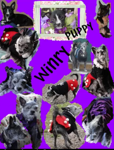 18:24:03 GMT-0600 (CST)