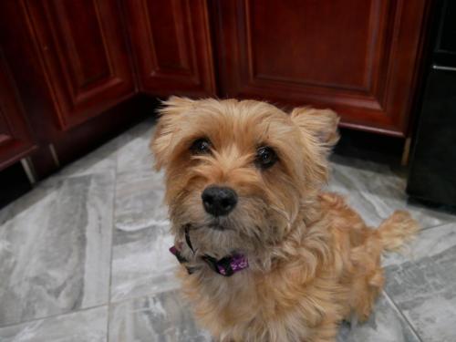 12:02:07 GMT-0800 (PST)