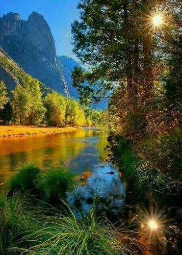 125563461_741128646489254_9078092302895943204_n