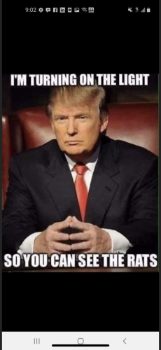November 13, 2020