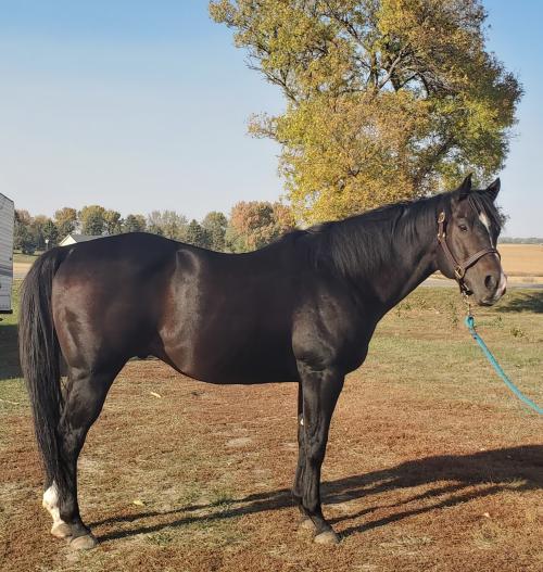 15:08:29 GMT-0600 (CST)