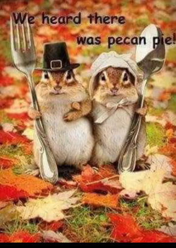 12:27:19 GMT-0600 (CST)