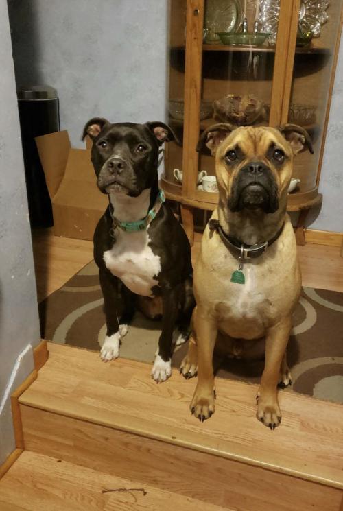 20:08:38 GMT-0600 (CST).image