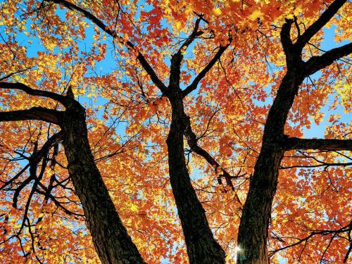 123138152_1149915155410592_7494548480648124381_o