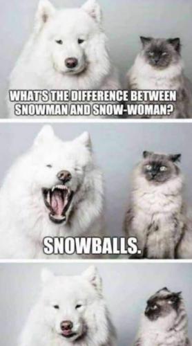 Christmas Snow funny meme difference between snowman and woman