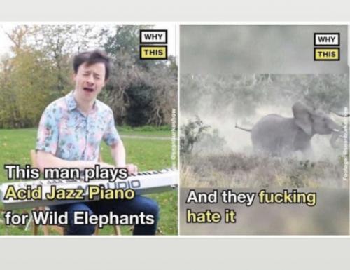 tumblr_f34be290489a15b008995736c5c9ce2f_e180f450_540