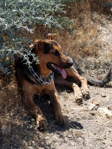 15:30:07 GMT-0800 (PST)