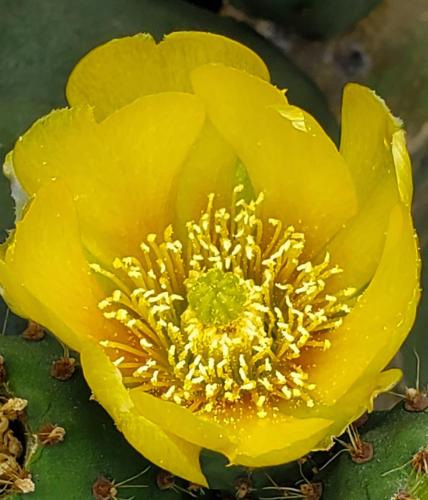 15:54:41 GMT-0800 (PST)