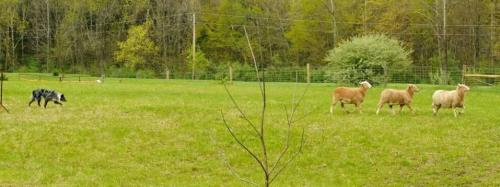 playmemoriesonline_1520816603825