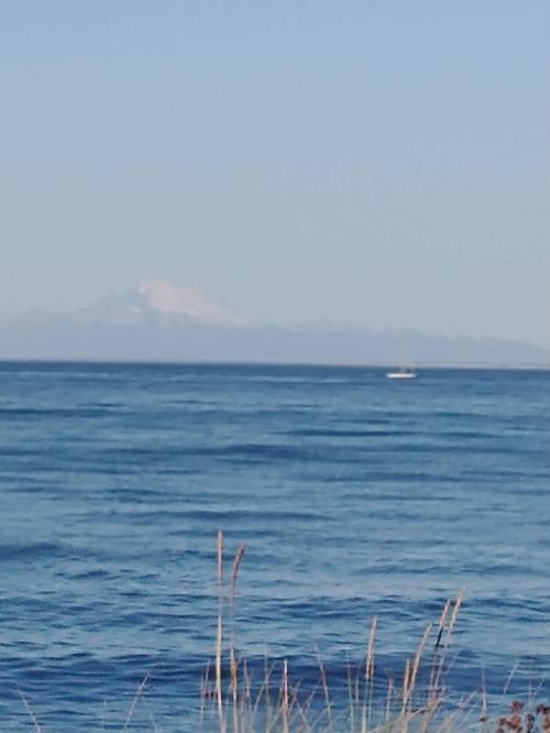 13:44:50 GMT-0800 (PST)