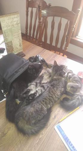 17:38:47 GMT-0600 (CST)