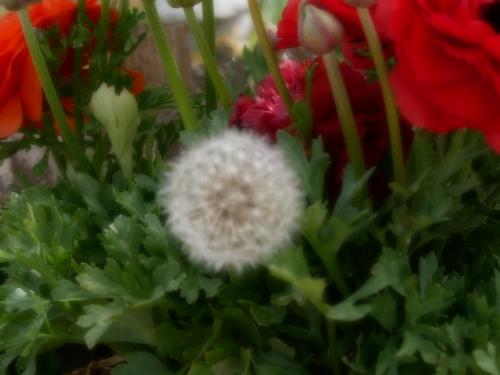 15:21:27 GMT-0800 (PST)