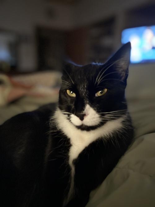 08:52:34 GMT-0600 (CST).image