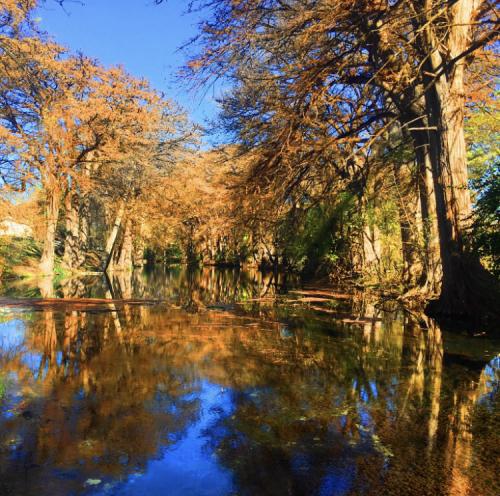 12:17:59 GMT-0600 (CST).image