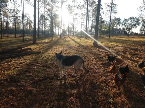 IMG_20171225_082205413