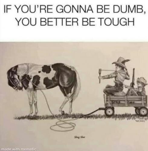 Screenshot_2020-11-10-15-44-04-1