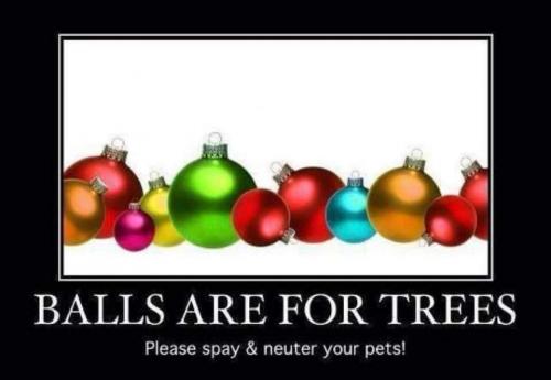 07:53:40 GMT-0600 (CST)