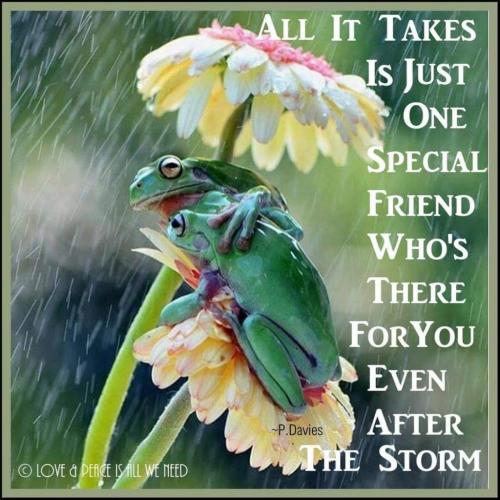 08:03:25 GMT-0600 (CST)