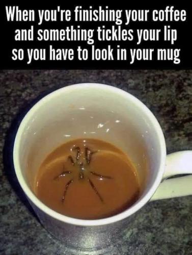 09:10:16 GMT-0500 (EST)