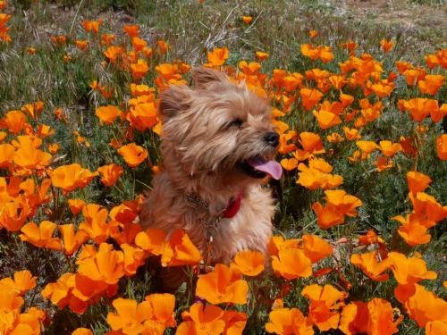 12:02:07 GMT-0800 (PST)