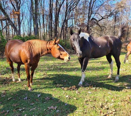 11:56:59 GMT-0500 (EST)