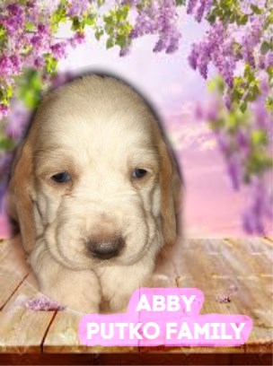 92947569-1601779823309926-5100982548352204800-n