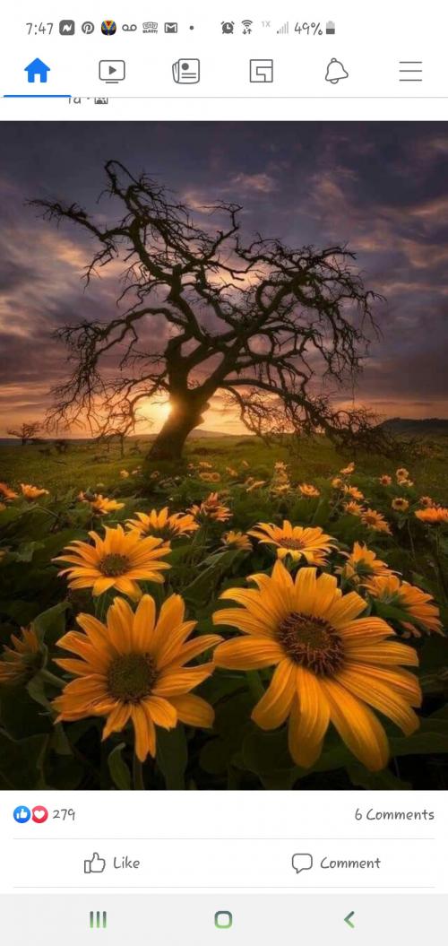 15:51:07 GMT-0600 (CST)