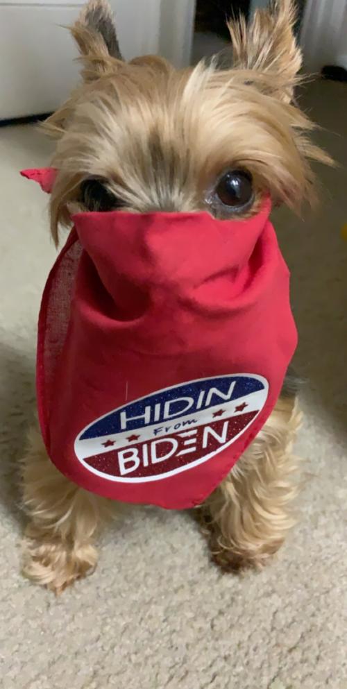 06:24:26 GMT-0500 (EST).image