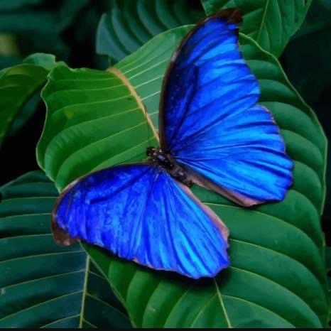 22:43:01 GMT-0600 (CST).image