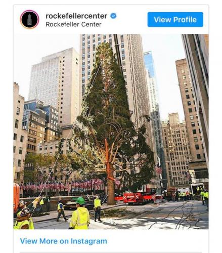 125829769_10160339841662678_5654589438293475365_n